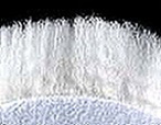electrified-white-sheepskin.jpg